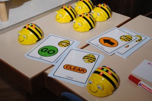 Bee-Bot Karten